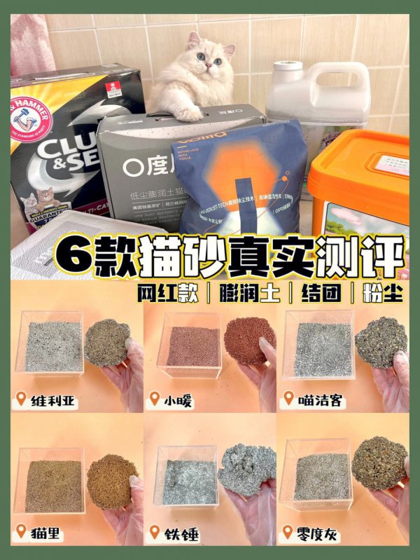 猫砂可以做花土吗