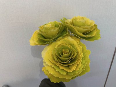 银杏树叶可以做花土吗 银杏树叶适合作为花土吗？