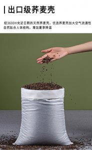 荞麦皮可以做花土吗 荞麦皮可用作花盆土吗？