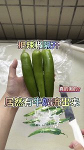 牛奶可以浇辣椒吗 辣椒可以泡牛奶吗？