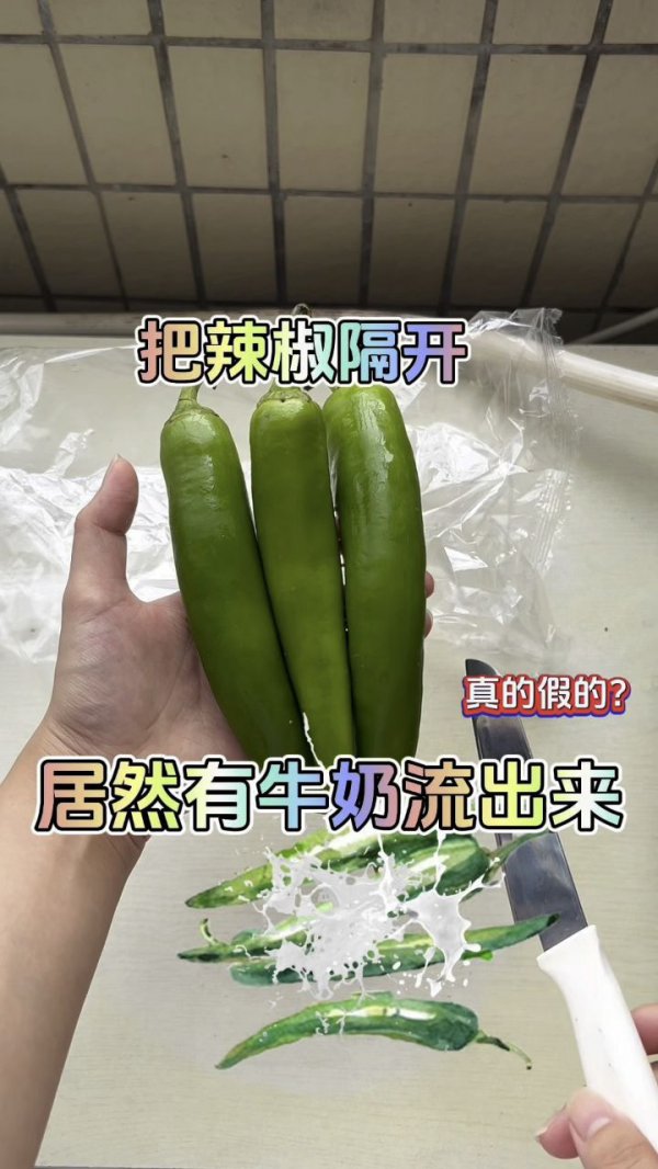 牛奶可以浇辣椒吗