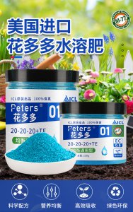 多肉要施什么肥合适 多肉植物适合使用哪种肥料施用？