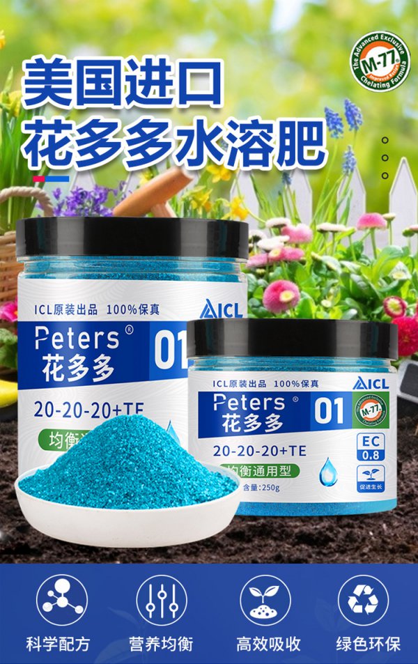 多肉要施什么肥合适