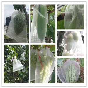 葫芦什么时候套袋最佳 葫芦最佳套袋时间是什么时候？