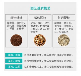 生石花土配制方法 生石花土配方制作指南
