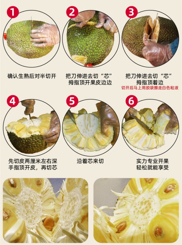 菠萝蜜果期有多久