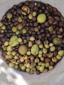 茶油饼可以做肥料吗 茶油饼适合作为肥料使用吗？