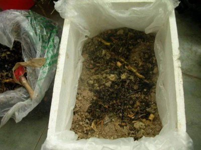 蚕豆壳可以做肥料吗 蚕豆壳可否作为肥料使用？