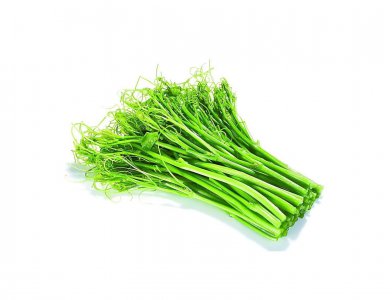 龙须菜是什么菜 龙须菜是哪一种食材？