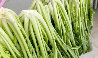 冬菜是什么菜 冬菜指什么蔬菜？