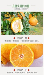 丑八怪几年结果实 丑八怪多年来取得了实质性成果