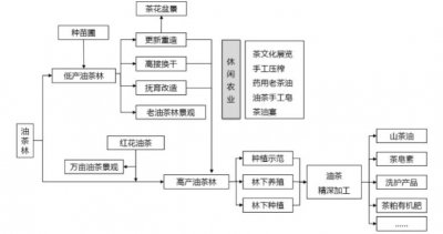 油茶种植条件 油茶种植时间气候及生长环境介绍