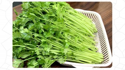 西芹的生长周期是多长时间 西芹需要多长时间生长？