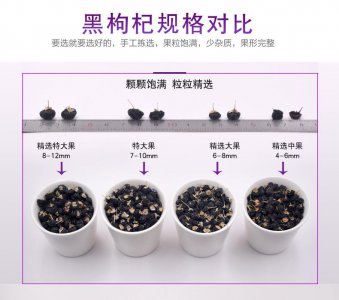 黑枸杞的生长周期是多长时间 黑枸杞需要多久才能生长成熟？