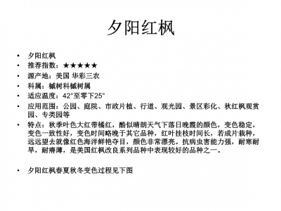 枫树的生长周期是多长时间 枫树生长周期有多长？