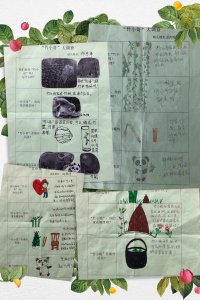 毛竹的生长周期是多长时间 毛竹的生长周期有多长