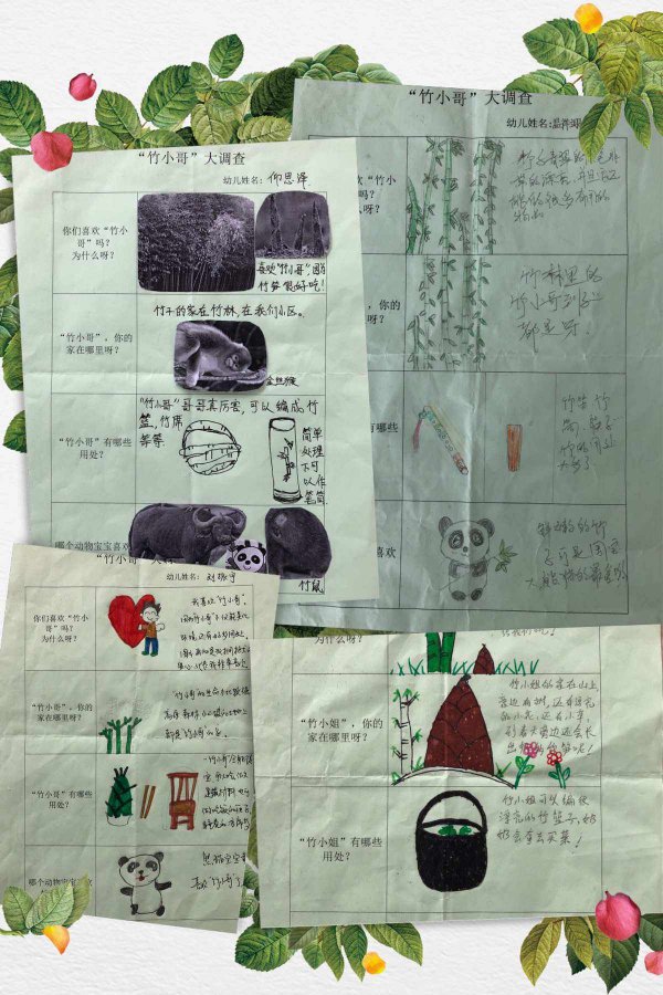 毛竹的生长周期是多长时间