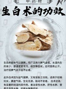 白术的生长周期是多长时间 白术需要多长时间生长？