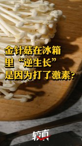 金针菇的生长周期是多长时间 金针菇生长周期是多久？