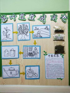 茶树的生长周期是多长时间 茶树需要多久才能生长茁壮？