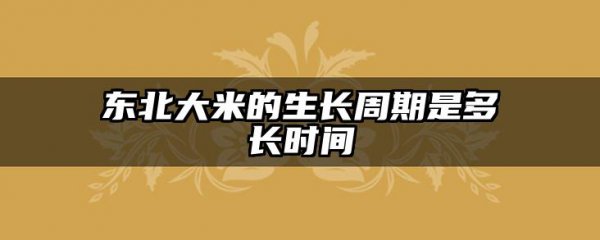 东北大米的生长周期是多长时间