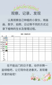 仙人掌的生长周期是多长时间 仙人掌的生长周期有多长时间？