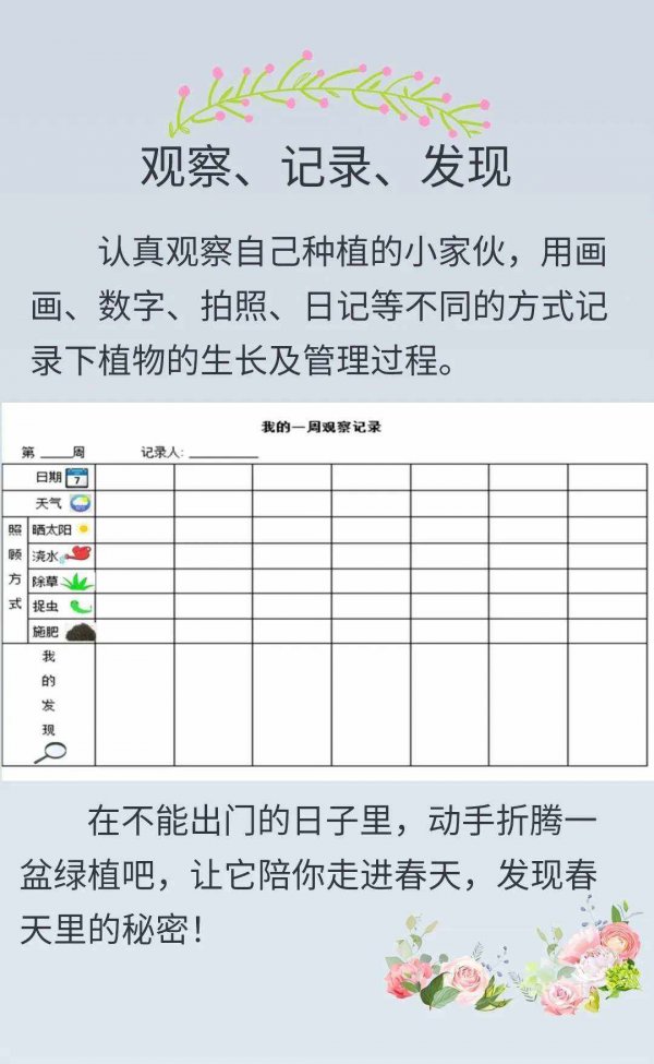 仙人掌的生长周期是多长时间