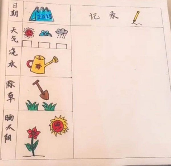 香草的生长周期是多长时间