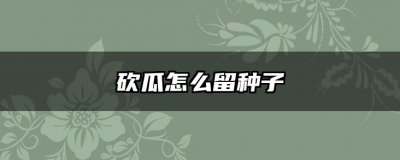 砍瓜怎么留种子 瓜种子如何保存最好
瓜子怎样保存最好