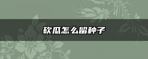 砍瓜怎么留种子