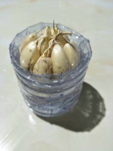 大蒜几天浇一次水最好 大蒜适宜间隔几天浇水