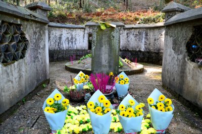 坟地可以种竹子吗 坟地适合种植竹子吗？