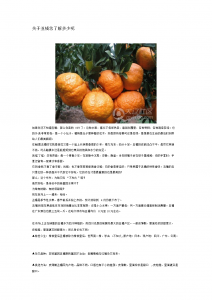 丑橘栽种方法和注意事项 丑橘的种植技巧及注意事项