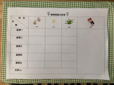 土豆栽种方法和注意事项 土豆栽种指南及注意事项