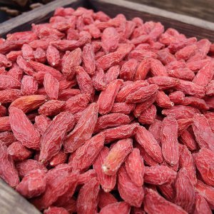 20克枸杞大概有多少粒 20克枸杞大约含多少颗？