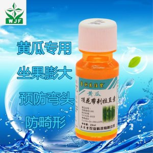 黄瓜施什么肥最好 黄瓜最适合使用哪种肥料施用
