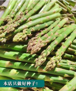 芦笋种子怎么来的 如何获得芦笋种子
芦笋种子的来源