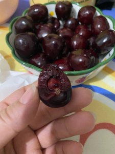 车厘子核可以种吗 车厘子核能够发芽吗？