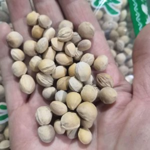 樱桃核可以种吗 樱桃核可用来种植吗？