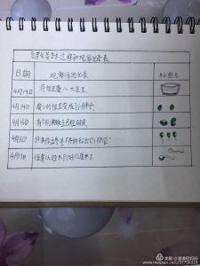 豆芽的生长环境及生长地方条件 豆芽的生长环境和适宜生长条件