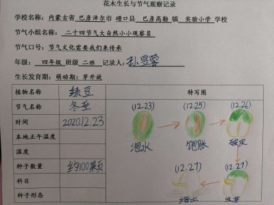 绿豆的生长环境及生长地方条件 绿豆生长的环境和条件