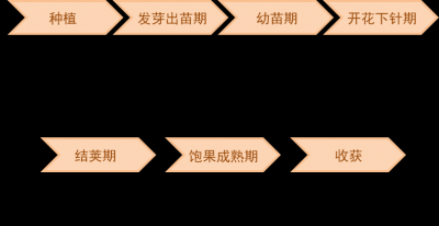 大豆生长期多长时间 大豆生长周期有多长时间？