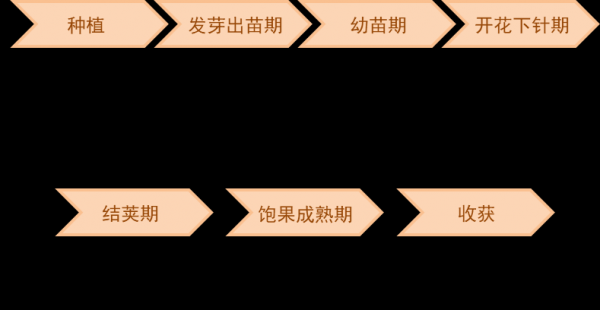 大豆生长期多长时间