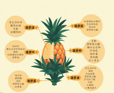 菠萝生长期多长时间 菠萝的生长周期是多长时间？