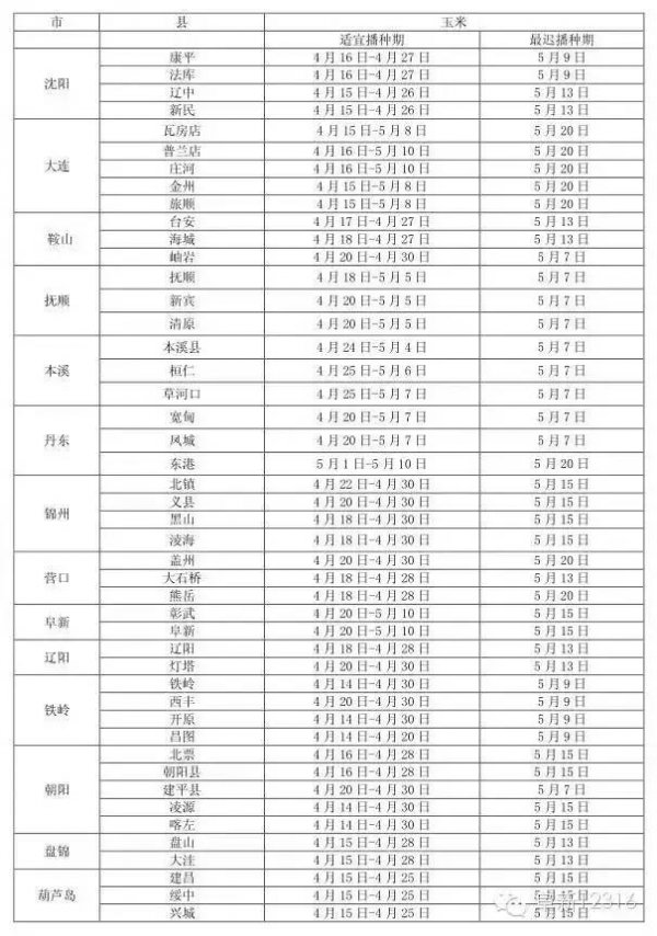 夏玉米生长期多长时间
