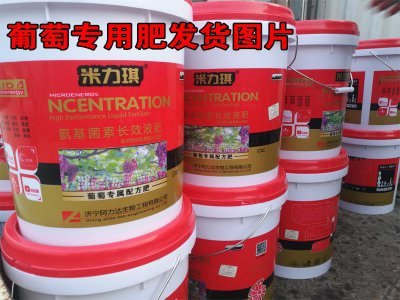 葡萄施什么肥好 葡萄需施何种肥料效果更好？