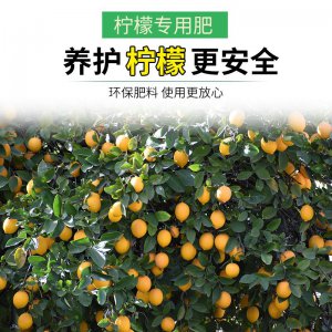 柠檬树施什么肥好 柠檬树用什么肥料最适合