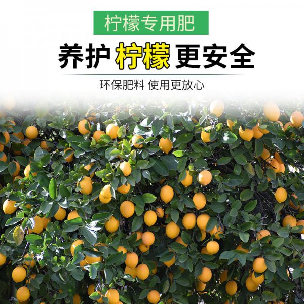 柠檬树施什么肥好