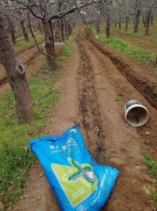苹果树施什么肥好 给苹果树施什么肥料最好