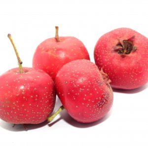 山楂是水果还是蔬菜 山楂属于水果还是蔬菜？